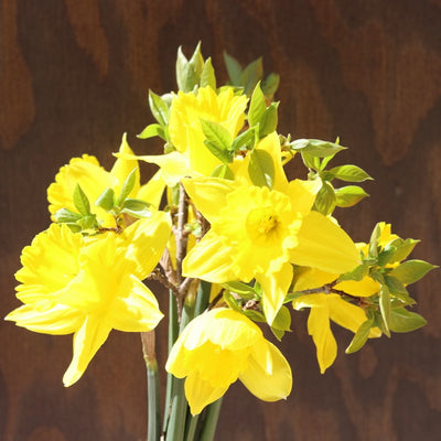 Seasonal Local Flowers | Bloomed By Bees