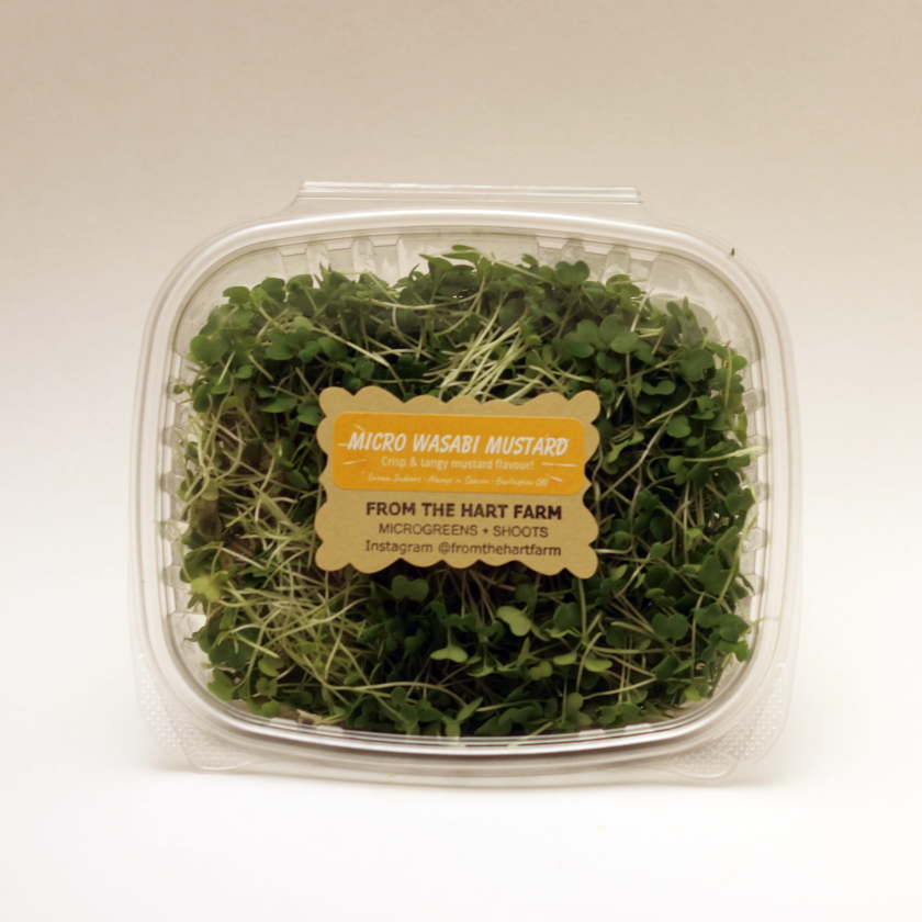 Cut Microgreens