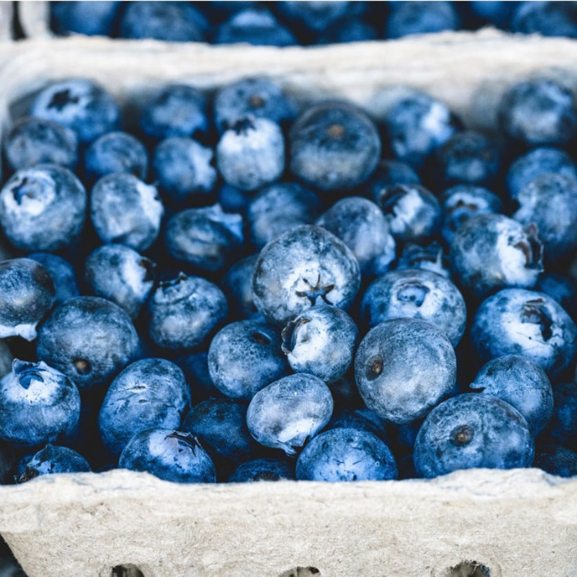 Bulk Ontario Blueberries Backed By Bees
