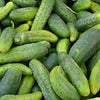 Bulk Ontario Pickling Cucumbers